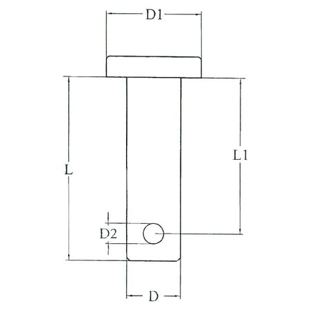 LT 09900212