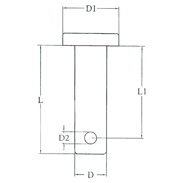 LT 09900213