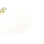 LT 14340504