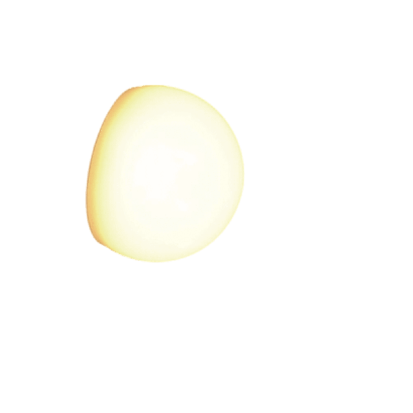 LT 14340574