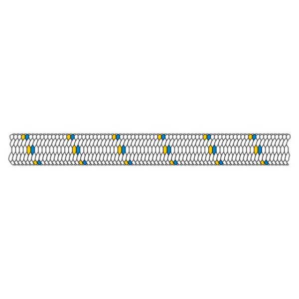 LT 68901006