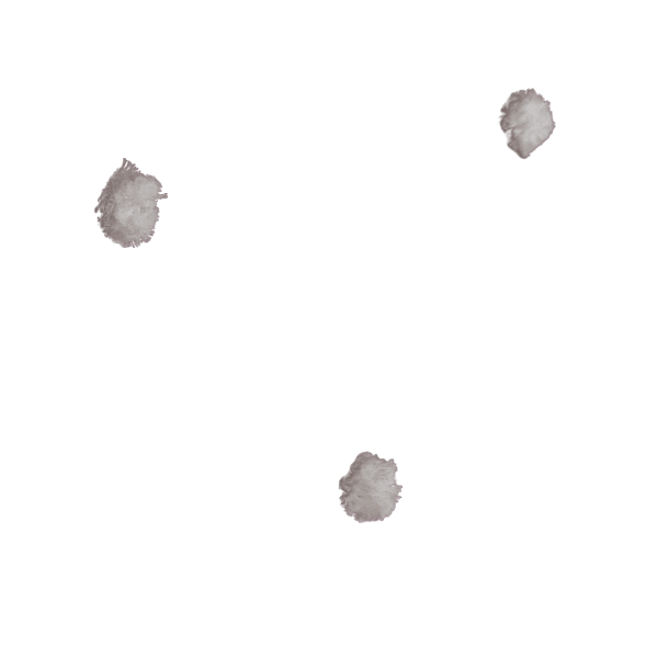 LT 79505005